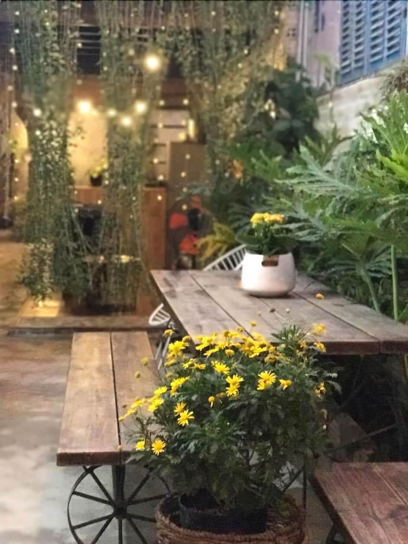 La La House Homestay Nha Trang Eksteriør billede